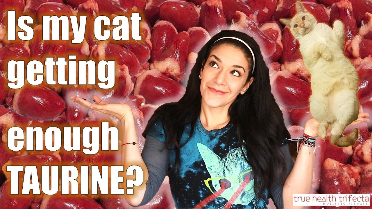 taurine red bull Is My Cat Getting ENOUGH Taurine? (Part 2 of 3) - Raw Cat Food / Cat Lady Fitness