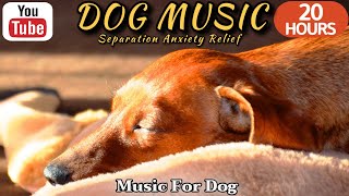 20 HOURS of Dog Calming Music For Dogs🎵🐶Anti Separation Anxiety Relief Music💖💖Dog Sleep🎵Healingmate by HealingMate - Dog Music 29,660 views 3 weeks ago 20 hours