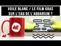 Aqua tea  voile blanc  film gras sur leau de laquarium