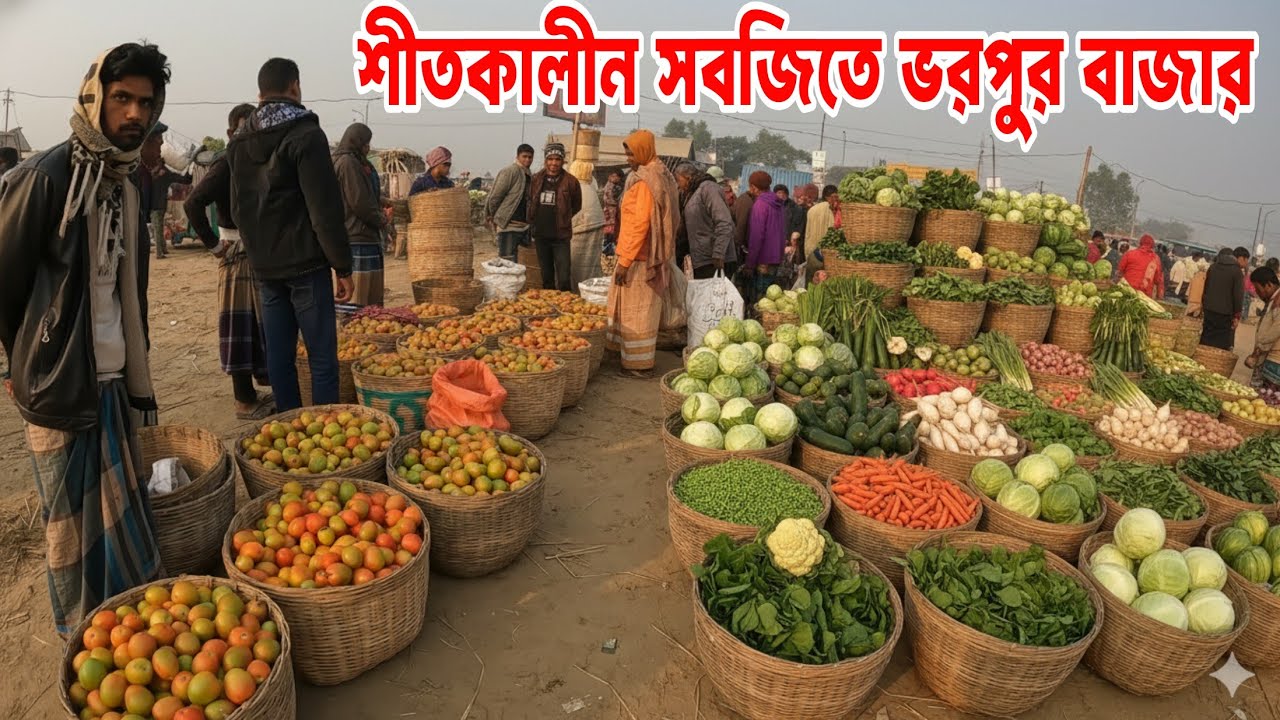 ১৬ জানুয়ারি ২০২৬, সবজির পাইকারি আপডেট | ফেরিঘাট বাজার | Biggest Vegetable market in Bangladesh