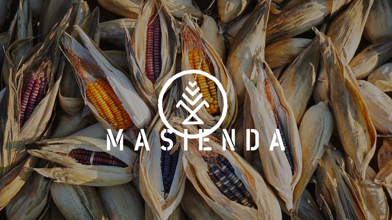 Masienda – Our Story