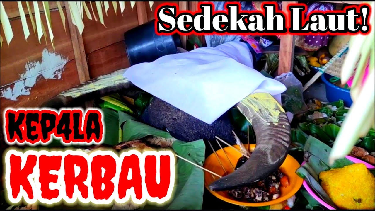 Baritan Tradisi Pelarungan Kep4la Kerbau ke Laut desa Asemdoyong | Pemalang