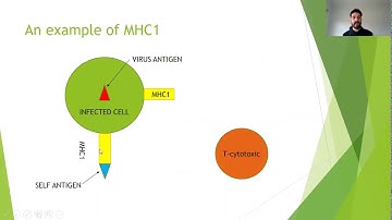 Antigen Presenting Video