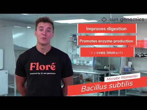 Microbe Moments: Bacillus subtilis | Sun Genomics