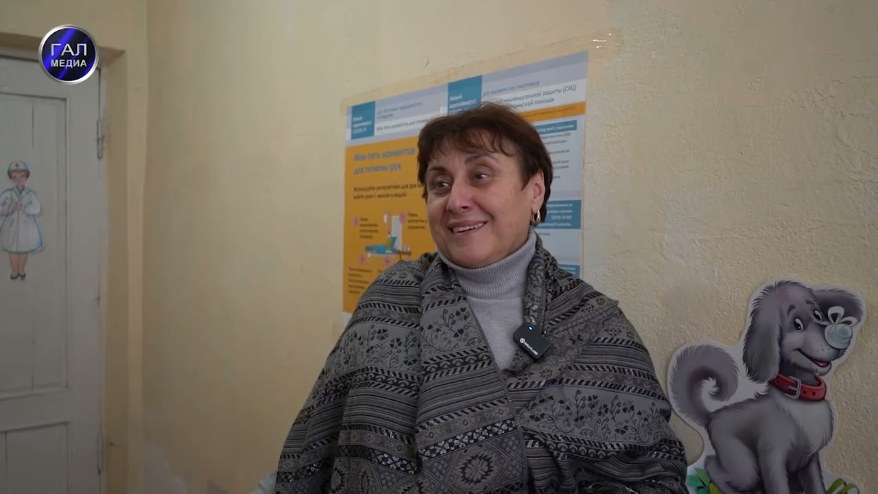 Открытый вопрос. Проблема бродячих собак в Гале становится всё острее