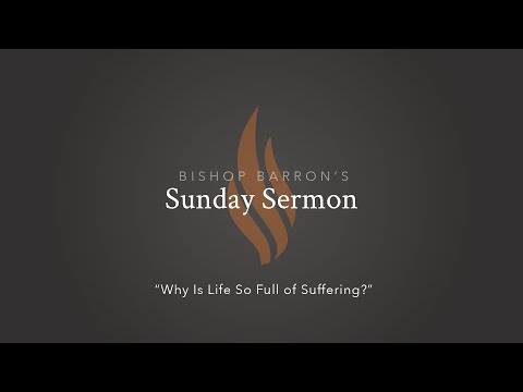 Why Is Life So Full of Suffering? — Bishop Barron’s Sunday Sermon