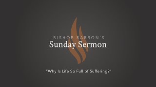 Why Is Life So Full of Suffering? - Bishop Barron’s Sunday Sermon