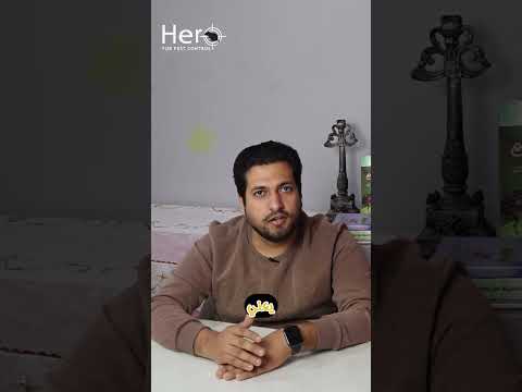 عارف ليه الحشرات بتدخل بيتك في الشتاء الحل عندنا اتصل بينا وعيش الشتاء براحة وأمان حشرات