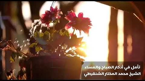 أذكار الصباح والمساء الشيخ محمد الشنقيطي ( مؤثر)