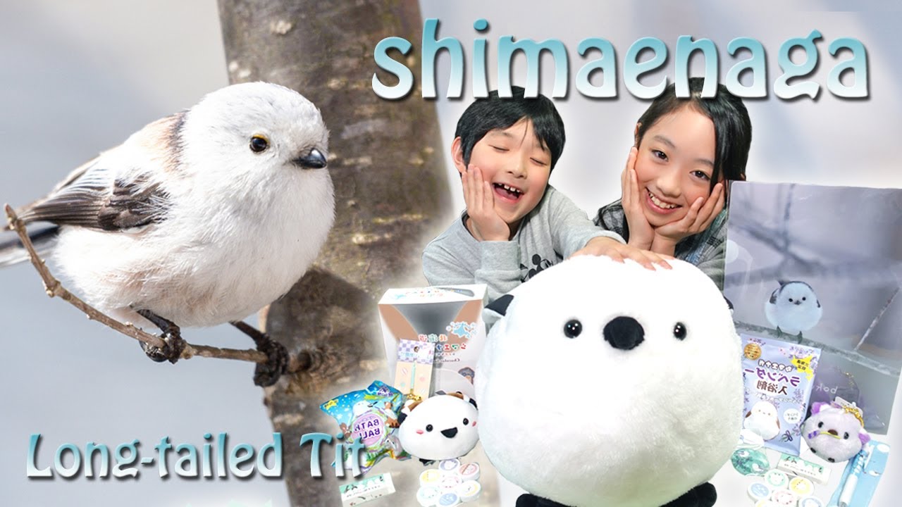 新品 WHAT WE WANT shimaenaga otoshi www Shima Enaga Plush Toy Mascot | eBay