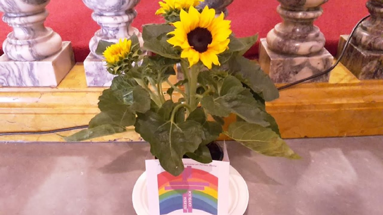 Día del Padre 2020 - YouTube