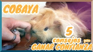 POR FIN UNA COBAYA!! - 5 Trucos para GANARTE su CONFIANZA de tu MASCOTA