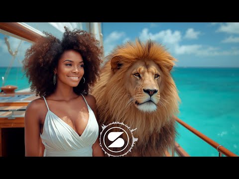 Amapiano 2025 Dance Time Afrobeats Remix By Stress Killaz 