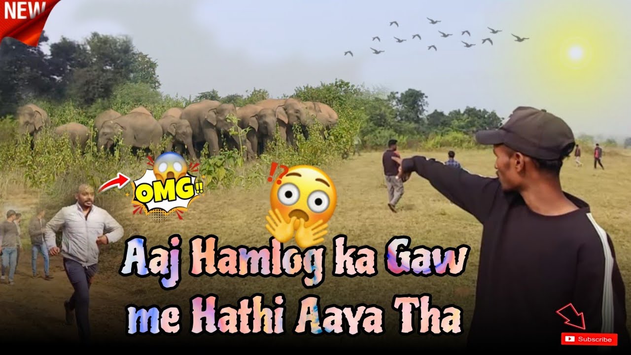 Aaj hmlog ke gaw me hathi aya tha 😱😭