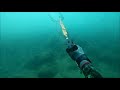 Extreme Life - Spearfishing sea - Angra dos Reis RJ
