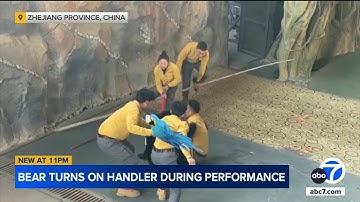 Bear attacks handler in harrowing incident caught on video at wildlife park in China