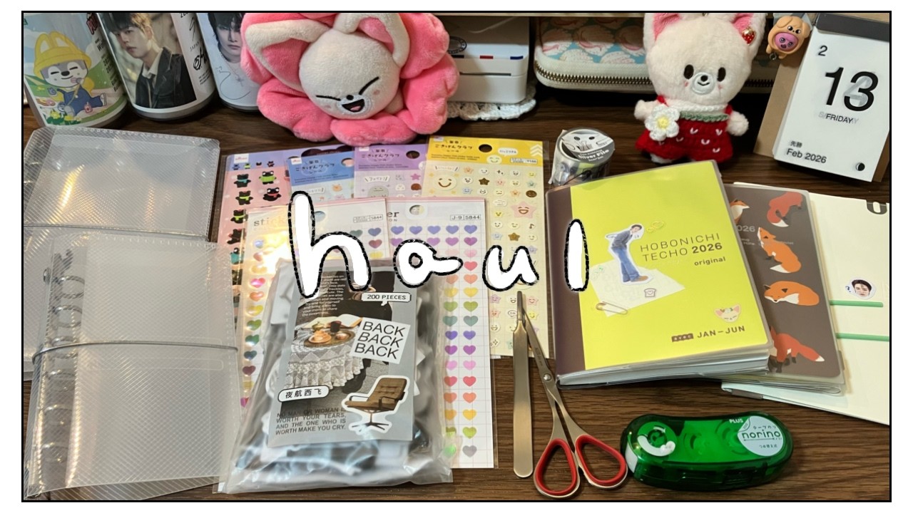 最近の購入品紹介と手帳事情🛍️【ダイソー┊︎SHEIN┊︎文房具┊︎ほぼ日表紙デコ】