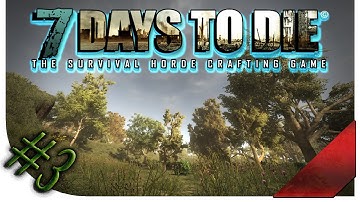 7 Days To Die #3 Damage