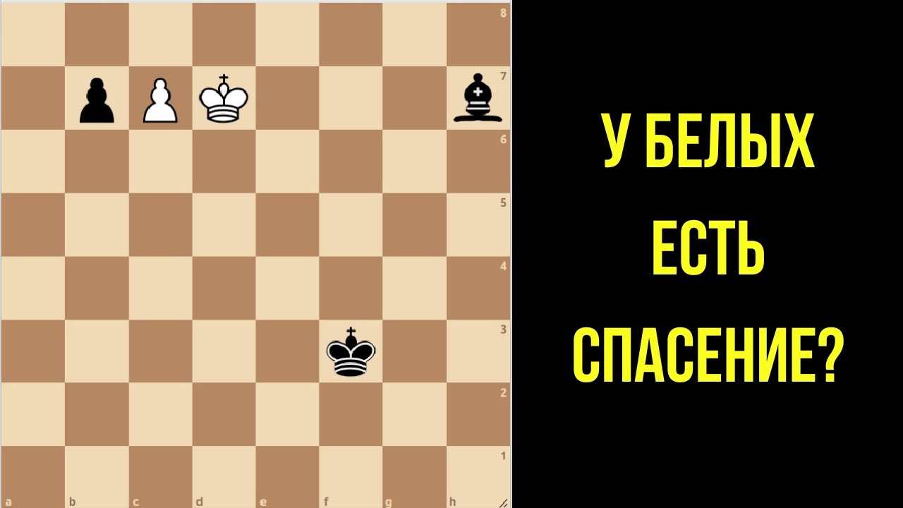 Реально ли спастись без слона? Как думать в шахматах, когда все ходы плохие?