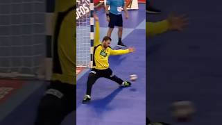 Best Goalkeeping Performance in a Final ever? 😨🇩🇪 #handball #håndbold #ehfeuro2024