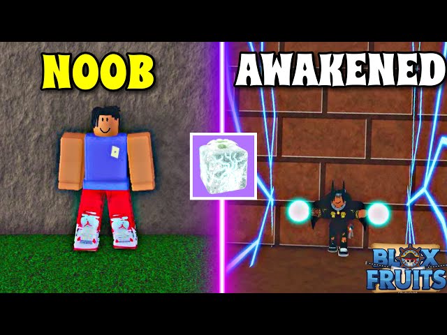 Noob to Pro in Blox Fruits Using Quake Awakening 