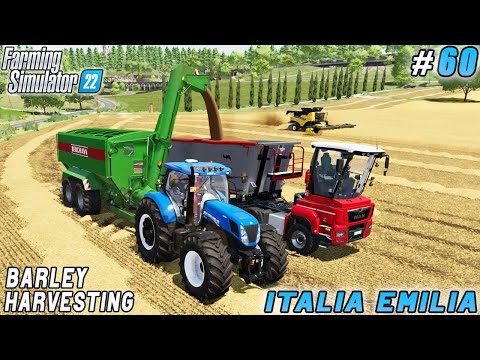 Successful Open Fields Strawberry Maintenance, Barley Harvesting | Italian Farm | FS 22 | ep #60