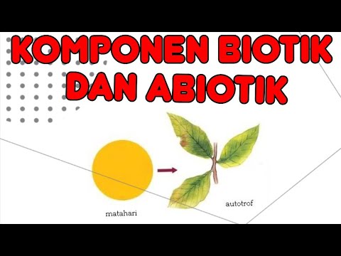 Video: Apa saja faktor abiotik dan biotik padang rumput?