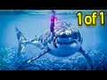 STRONGEST Shark Species Alive!