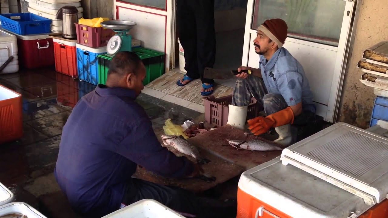 Fish market w Qatif YouTube