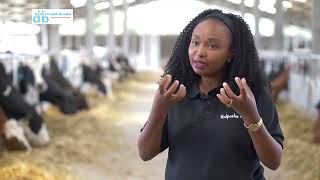 Great tips on commercial dairy farming by Njeri - Naiposha farm