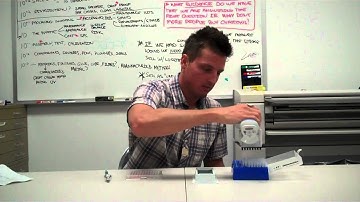 electronic vs. manual pipetting