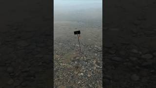 Fırat Turnası Avı Maşallah Mukemmel Mücadele . 😲😲😲🧿🧿🧿💯💯💯👏👏🎣🐬🐬🐬🎣