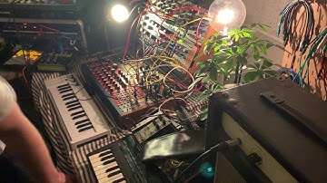 Ableton, Eurorack , Moog, Behringer Neutron, Make Noise DPO, Erb-Verb & OP-Z