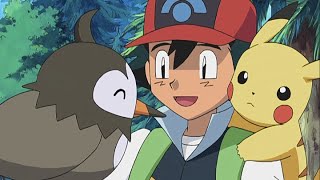 ¡El Starly de Ash evoluciona! | Pokémon Diamante y Perla | Clip oficial