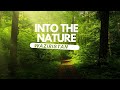 Into the nature beauty of waziristan cinematic adil mehsud