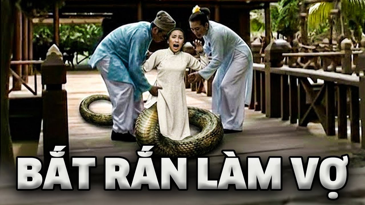BẮT RẮN LÀM VỢ | PHIM CỔ TÍCH VIỆT NAM | PHIM TRUYỆN CỔ TÍCH VIỆT NAM 2025 | HTVC CỔ TÍCH VIỆT