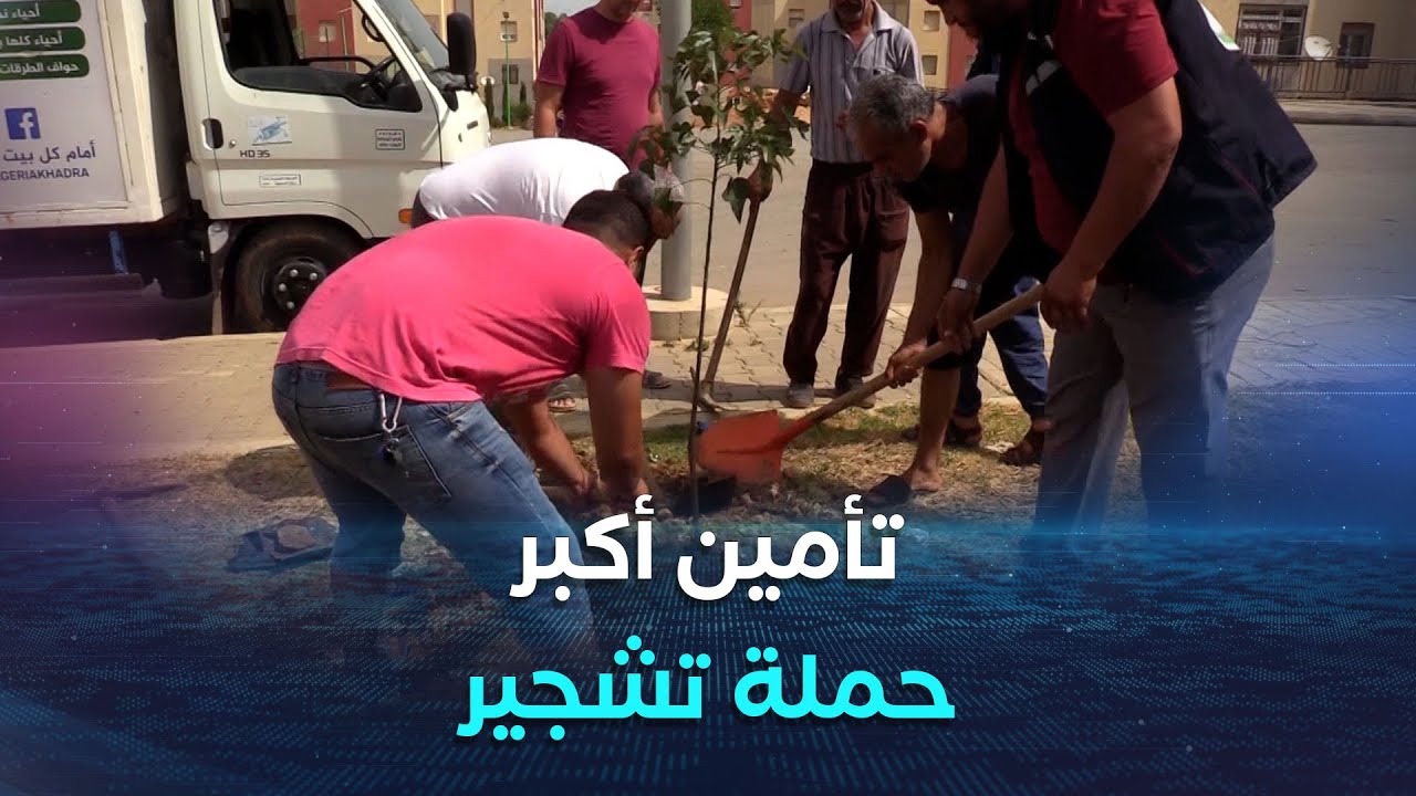 الصندوق الوطني للتعاون الفلاحي يراقف أكبر حملة تشجير بتأمين العملية من الأضرار