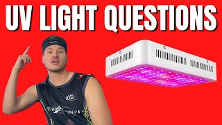 SNEAKER ICE BOX | UV LIGHT Q&A