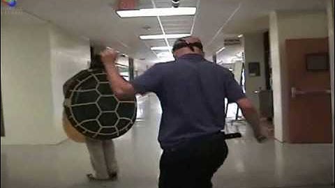 CALCULUS LIMITS AND CONTINUITY PART 2