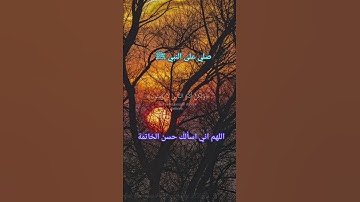 #تلاوة_ خاشعة#راحه_نفسيه #islamicteachings #quranicinstructors #اكسبلور #