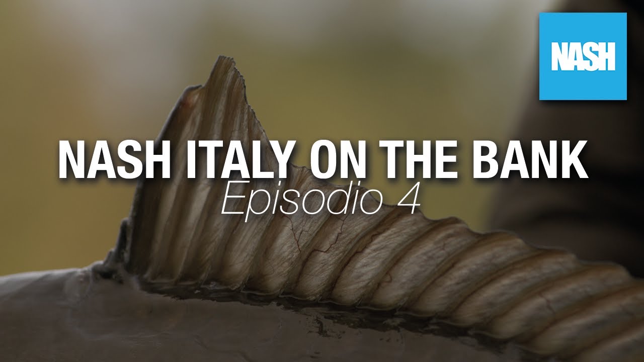 SBAGLIANDO S'IMPARA - episodio 4 - NASH ITALY ON THE BANK - carpfishing