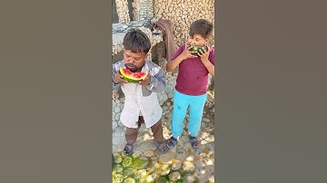 juice 🧃 or watermelon 🍉 #shorts #viral #youtubeshorts #chotuplus #chotu