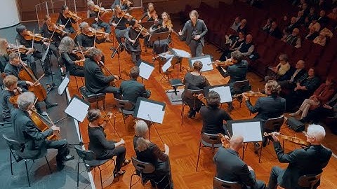 Elgar: Serenade for Strings in E minor, Op. 20 - I. Allegro Piacevole (live recording)