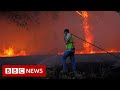 New video by BBC News on YouTube