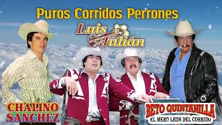 CHALINO SANCHEZ - LUIS &amp; JULIAN - BETO QUINTANILLA || PUROS CORRIDOS MIX 2023