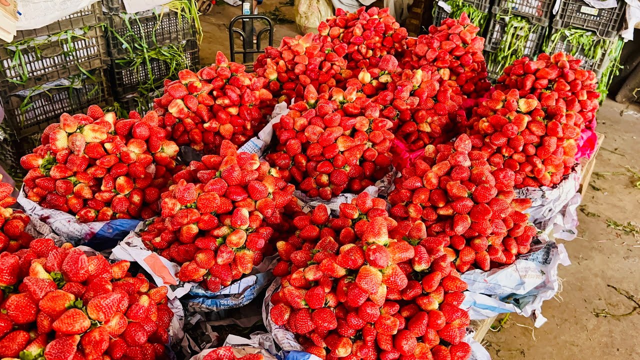 Karachi Sabzi Mandi 16 Feb 2026 rates today| Karachi Fruit Mandi rates todayKarachi 