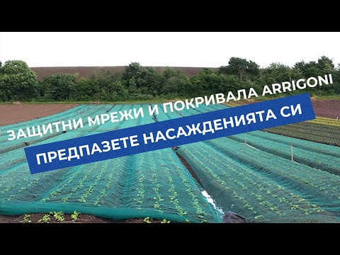 Видео: Домашна изолация за кучета