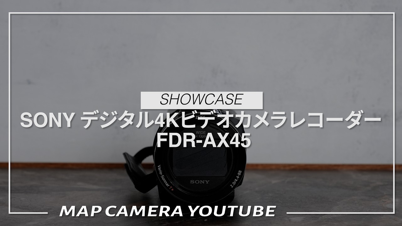 SONY Digital 4K Video Camera Recorder FDR-AX45 [Product