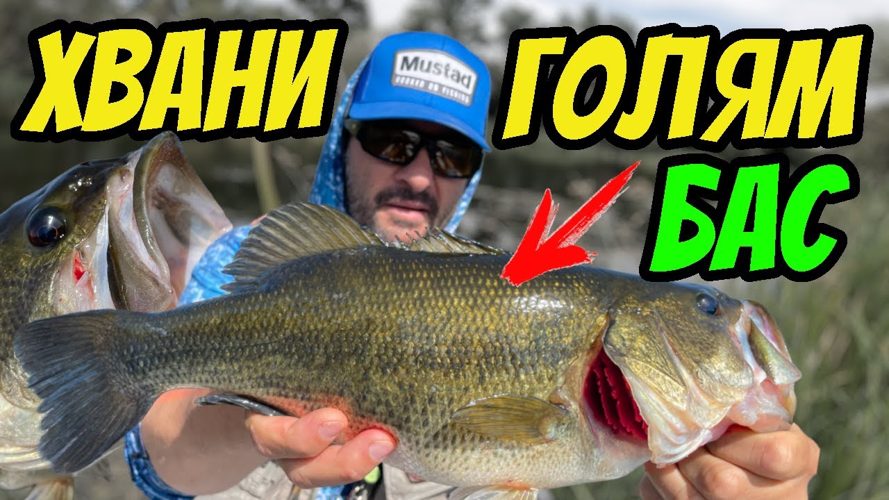 ТАЙНИТЕ на УСПЕХА в РИБОЛОВА на БАС