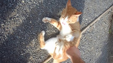 Firefly 8s 90 degree MOD U72 100mbps!